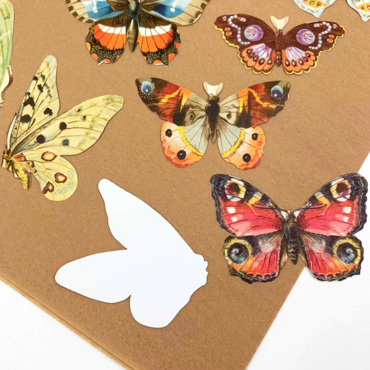 Colorful Butterflies Loose Paper Scrap Pack